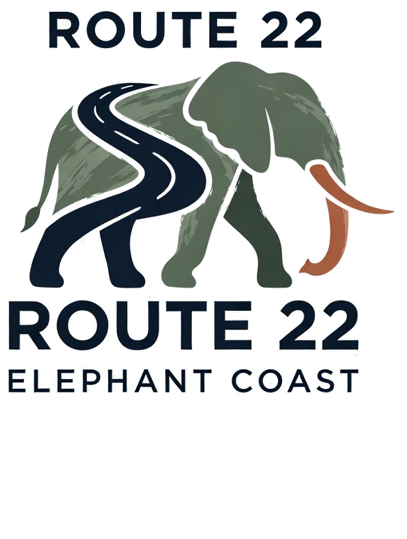 Route22 Elephant Coast
